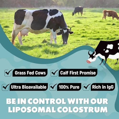 Marafiki Liposomal Bovine Colostrum Supplement - Grass Fed Colostrum Powder - High Bioavailability Easy to Mix (60 Servings)