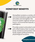 Amazing Herbs Raw Natural Honey - Herbal Honey Infused With Ecea, Elderberry, Garlic, Eucalyptus Extracts & Pure Black Seed Oil, Non Gmo, Gluten - Honeyzest Immune Boost Straws, 100 Count