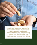 PuroRaw Brazil Nuts Raw 1lb, Raw Brazil Nuts. Brazil Nuts Unsalted - Brazil Nuts- All Natural, Non-GMO, Vegan Brazil Nuts- Brazil Nuts Bulk 16oz