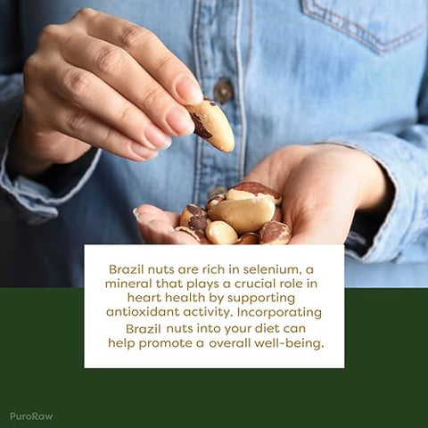 PuroRaw Brazil Nuts Raw 1lb, Raw Brazil Nuts. Brazil Nuts Unsalted - Brazil Nuts- All Natural, Non-GMO, Vegan Brazil Nuts- Brazil Nuts Bulk 16oz