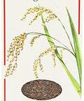 Organico Organic Wild Red Rice 500g