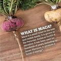 Maca Magic Made With Organic Gelatinized Maca Powder Capsules (200 Ct)