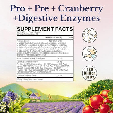 Vitalitown Probiotics for Women 120 Billion CFUs 30 Strains with Prebiotics & Digestive Enzymes & Cranberry Gut & Vaginal Health Delayed Release Caps