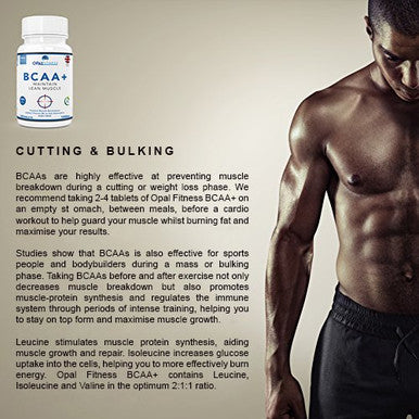 OPALFITNESS BCAA Tablets Branched Chain Amino Acids by Opal Fitness Nutrition ÃƒÂ¢Ã¢â€šÂ¬Ã¢â‚¬Å“ Vegan BCAA+ with Vitamin B6 to Aid Absorption - UK Produced and GMP Certified - Suitable for Men and Women ÃƒÂ¢Ã¢â€šÂ¬Ã¢â‚¬Å“ 120 Tablets