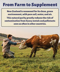 Holy Cow Health Colostrum Chewable Tablets Highly Bioactive Colostrum