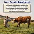 Holy Cow Health Colostrum Chewable Tablets Highly Bioactive Colostrum