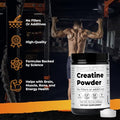 Santa Cruz Paleo Creatine Monohydrate Powder Micronized Unflavored Pre Workout And Muscle Support Supplement Gluten Free Keto Mix With Water Or Shakes No Fillers Or Additives 80 Servings 400G