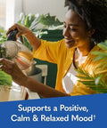 Garden Of Life Dr. Formulated Multi+ Stress and Mood Capsule With Ashwagandha B Vitamins and Probiotics Daily Multivitamin For Occasional Stress Relief Immune Support GlutenFree 60 Capsules