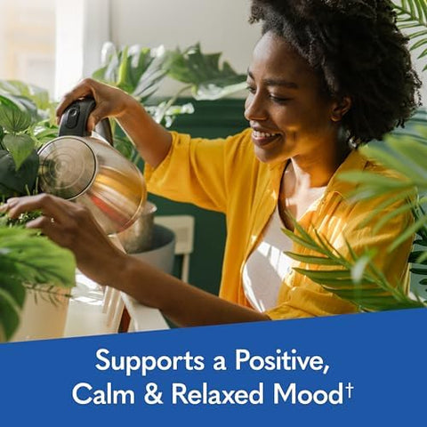 Garden Of Life Dr. Formulated Multi+ Stress and Mood Capsule With Ashwagandha B Vitamins and Probiotics Daily Multivitamin For Occasional Stress Relief Immune Support GlutenFree 60 Capsules