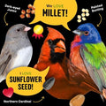 Cool Birds All Birds Wild Bird Seed, 10 lb | Classic Blend with Black Oil Sunflower, White Millet, Safflower, Peanuts & Sunflower Hearts