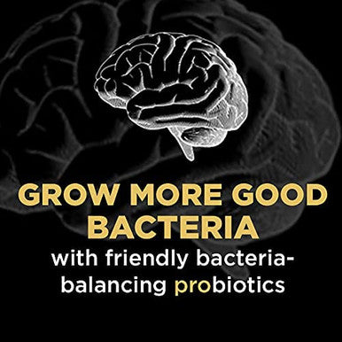 Dr. Emil Nutrition Total Gut Health Complex Prebiotic Probiotic Postbiotic Gut Health Supplements for Women and Men Probiotics for Digestive Health Gut Health 60 Capsules