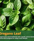 Lincnutri Oil Of Oregano With Black Seed Oil & Vitamin D3 165Mg CarvacrolEnteric-Coated Softgels For Immune Digestive & Seasonal Support*120 Softgels60-Day SupplyNon-GmoGluten-FreeSoy-Free