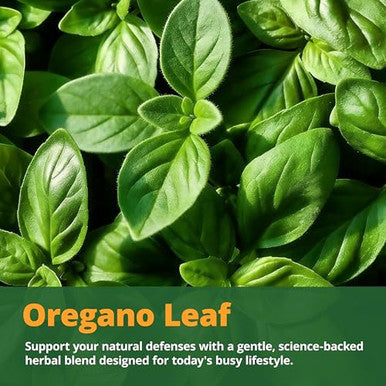 Lincnutri Oil Of Oregano With Black Seed Oil & Vitamin D3 165Mg CarvacrolEnteric-Coated Softgels For Immune Digestive & Seasonal Support*120 Softgels60-Day SupplyNon-GmoGluten-FreeSoy-Free