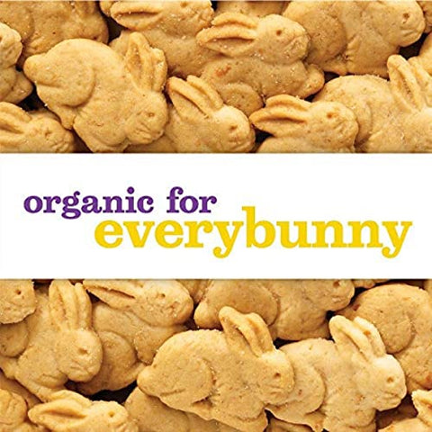 Annie's Organic Baked Graham Snacks Honey Bunny Grahams 1.25 oz (Pack of 20)