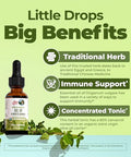 Maryruth's Organics Oregano Oil Drops 1 Fl Oz