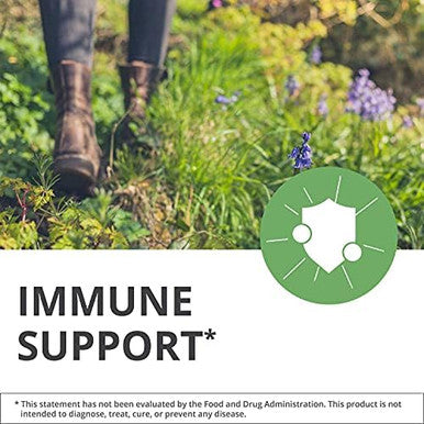 Nutramedix Immune Set 3Piece Kit With Cat'S Claw Zinc & Vitamins D3K2 For Immune Microbial Gastrointestinal Cardiovascular & General Wellness Support Liquid Drops & Capsules