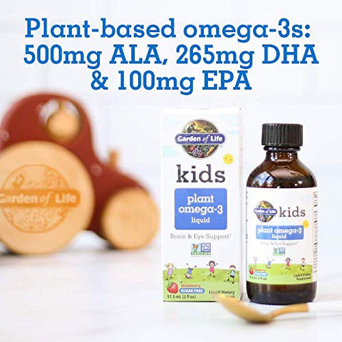 Garden Of Life Kids Plant Omega-3 Liquid Strawberry - Vegan Brain & Eye Support For Kids Plant-Based Children'S Omega 3 Ala Dha & Epa Supplement For Children Sugar Free & Non-Gmo 2 Fl Oz Liquid