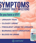 Welmate Urinary Track Comfort & Digestive Balance Kit: Urinary Pain Relief 99.5Mg (72 Ct) & Saccharomyces Boulardii Probiotic (200 Ct) Enhanced Urinary And Gut Health Support