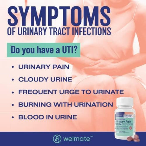 Welmate Urinary Track Comfort & Digestive Balance Kit: Urinary Pain Relief 99.5Mg (72 Ct) & Saccharomyces Boulardii Probiotic (200 Ct) Enhanced Urinary And Gut Health Support
