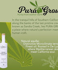 Pura Grove Organic Cold Pressed Extra Virgin Olive Oil Premium Grade - High Polyphenol - Hand Harvested & California Grown - 16.9Oz Opaque Glass Bottle 2024 Harvest 2025 Bottled