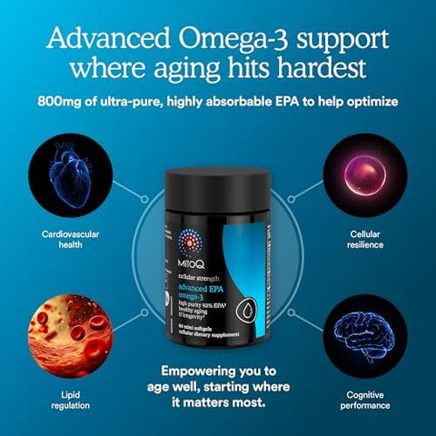 Mitoq Advanced Epa Omega-3 â€“ High-Purity 800Mg Epa Fish Oil Supplement With Vitamin K2 D3 E Cardiovascular Brain Cellular Support No Fishy Aftertaste 60 Softgels