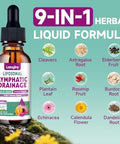 Lamginy Liposomal Lymphatic Drainage Drops 9-In-1 Lymphatic Drainage Supplements For Detox & Cleanse With Echinacea Dandelion Elderberry Burdock Root & Cleavers Immune & Lymph System Support 2 Fl Oz