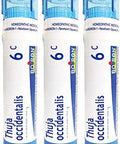 Boiron Thuja Occidentalis 6C Homeopathic Medicine For Warts Pack Of 3 (240 Pellets)