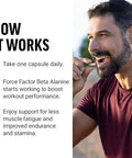 Force Factor Beta Alanine Capsules Betaalanine Endurance Supplement To Boost Performance & Reduce Fatigue Clinical Dose Premium Quality Vegan Nongmo 120 Capsules