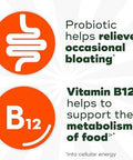 Align Probiotic Bloating Relief + Food Digestion Probiotics For Women And Men Probiotic Helps Soothe Occasional Bloating With Vitamin B12 To Help Break Down Food Into Cellular Energy60 Gummies