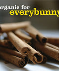 Annie's Organic Cinnamon Graham Cracker Bricks Graham Bricks 14.4 oz
