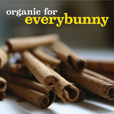Annie's Organic Cinnamon Graham Cracker Bricks Graham Bricks 14.4 oz