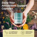 Herbamama Pine Bark And Boswellia Turmeric Kit - Bundle Of French Maritime Capsules & Boswellia Turmeric Capsules - Vegan Non-Gmo Gelatin- - 2 Pack
