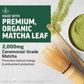 Force Factor Mighty Matcha Powder Premium Organic Matcha Green Tea Superfood To Support Calm Energy Focus Antioxidant Protection & Vitality Naturally Unflavored 30 Servings