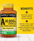 Mason Natural Vitamin A 3000 Mcg (10000 Iu) From Fish Liver Oil Supports Vision & Immune Health 100 Softgels Pack Of 3