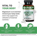 Nutramedix Fitness Plan Supplement Bundle Includes Magnesium Malate For Energy & Athletic Support And Serrapeptase For Joint & Mobility Wellness Fitness Support Supplements 2Piece Capsule Set