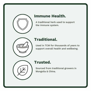 Utzy Naturals Astragalus | 500 Mg Per Capsule + Adapto-Calm | Stress Support Formula | With Ashwagandha, Tulsi Holy Basil, And Passionflower