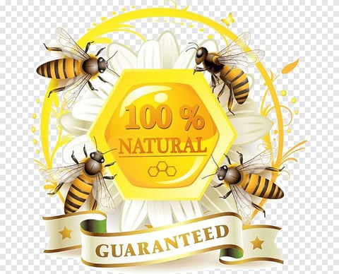 Airborne ( New Zealand) Manuka Honey & Honeydew Lozenges (16 x 0.1oz)