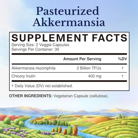 Vitalitown Akkermansia Probiotic Glp-1 With Chicory Inulin 2 Billion Tfu Akkermansia Muciniphila Probiotics For Men & Women Gut Health Digestion Non-Gmo 60 Veg Caps