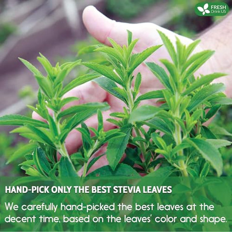 FreshDrinkUS Premium 300+ Natural Stevia Leaves Whole Dried Leaves 100% Pure Stevia Dried Leaves Zero Calorie Sweetener No Additives No Caffeine Vegan