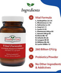 Foods For Gut Vital Formula 12 Strain Probiotics Powder 260 Billion Cfu 30 Grams | Digestive & Immune Support | High Potency