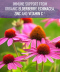 Garden of Life Mykind Organics Plant-Based Elderberry Immune Syrup 6.59 Fl Oz (195 Ml) For Kids & Adults: Sambucus EUSAcea Zinc & Vitamin C 0G Sugar Organic Vegan Gluten Free Herbal Supplement