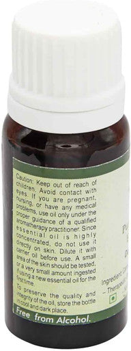 R V Essential Pure Carrot Seed Essential Oil 5ml (0.169oz)- Daucus Carota (100% Pure and Natural Therapeutic Grade)