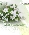Cognance Enhanced Bacopa Capsules | 100mg | 10% Ebelin Lactone | Bacopa monnieri | Mood, Memory, & 5-HT2A Activation