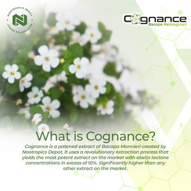 Cognance Enhanced Bacopa Capsules | 100mg | 10% Ebelin Lactone | Bacopa monnieri | Mood, Memory, & 5-HT2A Activation