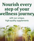 MegaFood Balanced B Complex - B Complex Vitamin Supplement - 8 B Vitamins Including Vitamin B6 Vitamin B12 Folate Biotin & More - Supports Cellular Energy Production - Vegan Gluten Free - 90 Tabs