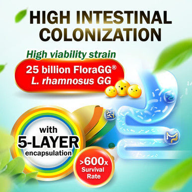 LABO Nutrition FloraGG Lactobacillus Rhamnosus GG 25 Billion CFU Active Probiotics and Sunfiber Prebiotic Fiber Supplement Support Healthy Intestinal Immune Health NonGMO Gluten Free 60s