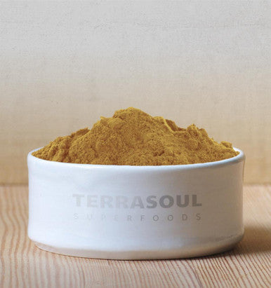 Terrasoul Superfoods Organic Lions Mane Mushroom Powder 41 Extract 5.5 Ounces