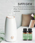 BURIBURI Spearmint Essential Oil - 2 Pack 100% Pure Organic Spearmint Essential Oils 10ML for Diffuser, Aromatherapy, Massage, Soap Making