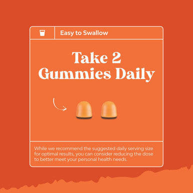 Vegan Organic Immune Support Gummies - D3 Zinc And Vitamin C Gummies For Adults Immunity - Organic Vitamin D Gummies For Adults Immune Support Supplement - Gluten & Non-Gmo (60 Servings)