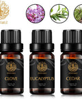 Aromatherapy Cedar Essential Oil Set for Diffuser, 3X10ml 100% Pure Eucalyptus Essential Oil Kit for Humidifier - Eucalyptus, Cedar, Clove Essential Oil Set, Aromatherapy Clove Essential Oils Kit